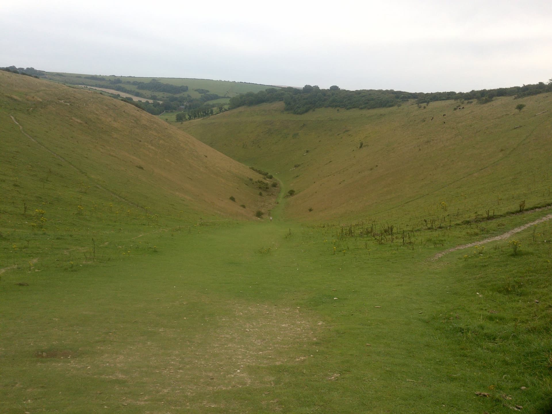 Devil's Dyke, South Downs, West Sussex - geograph.org.uk - 5220129